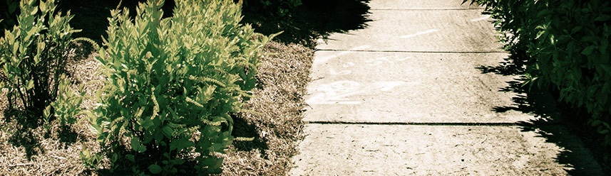 ddos压力在线测试平台